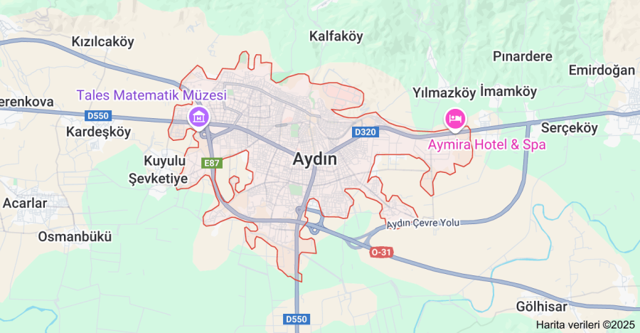 Aydın Çiçekçi Sitesi Yaptırmak