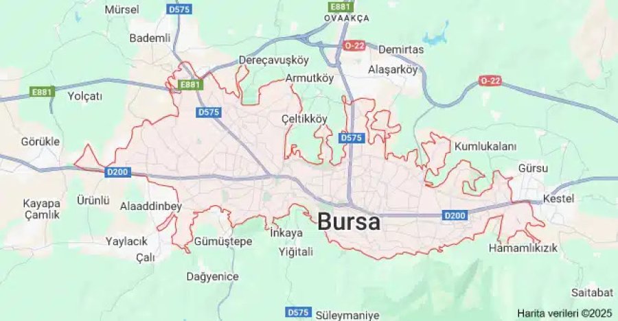 Bursa Çiçekçi Web Tasarımı