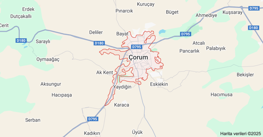 Çorum Çiçekçi Sitesi Yaptırmak