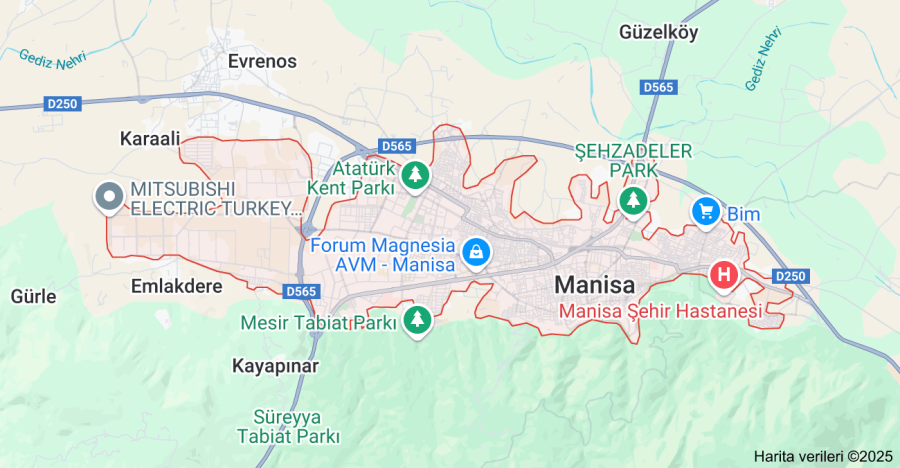 Manisa Online Çiçek Satış Sitesi