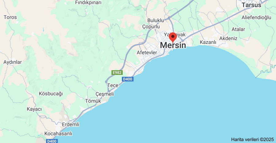 Mersin Hazır Çiçekçi Sitesi