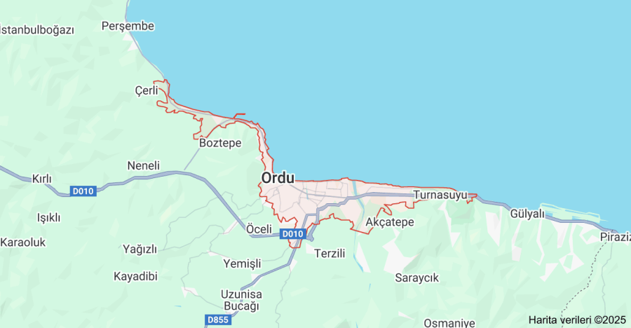 Ordu Çiçekçi Sitesi Kurmak