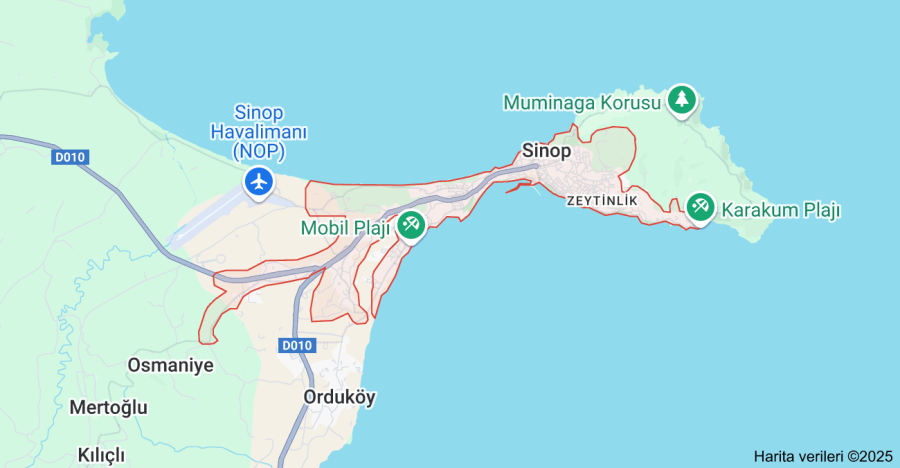 Sinop Çiçekçi Sitesi Kurmak