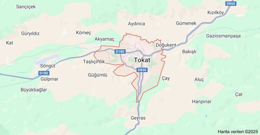 Tokat Çiçekçi Sitesi Kurmak